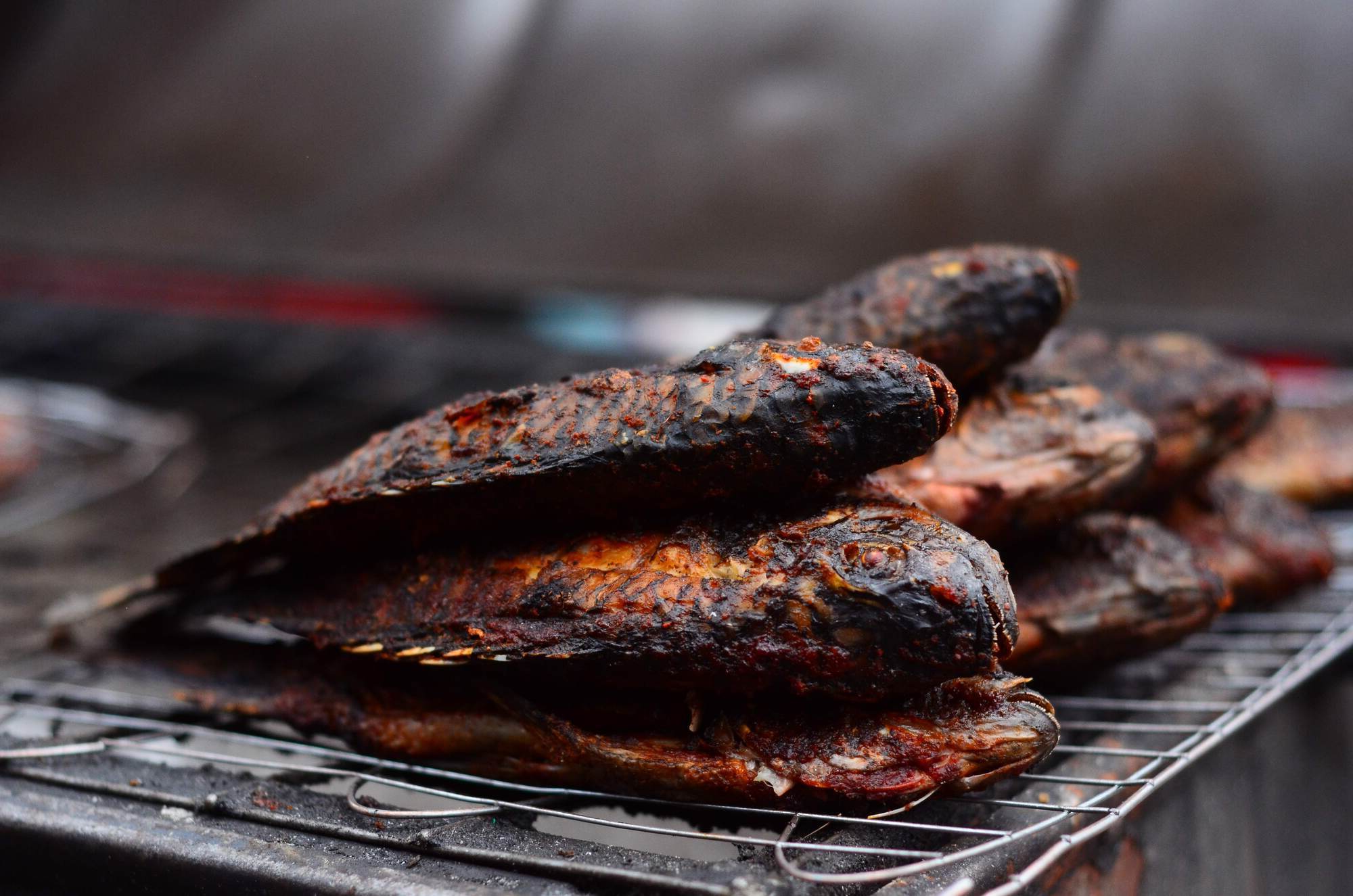 grilled-tilapia-recipe