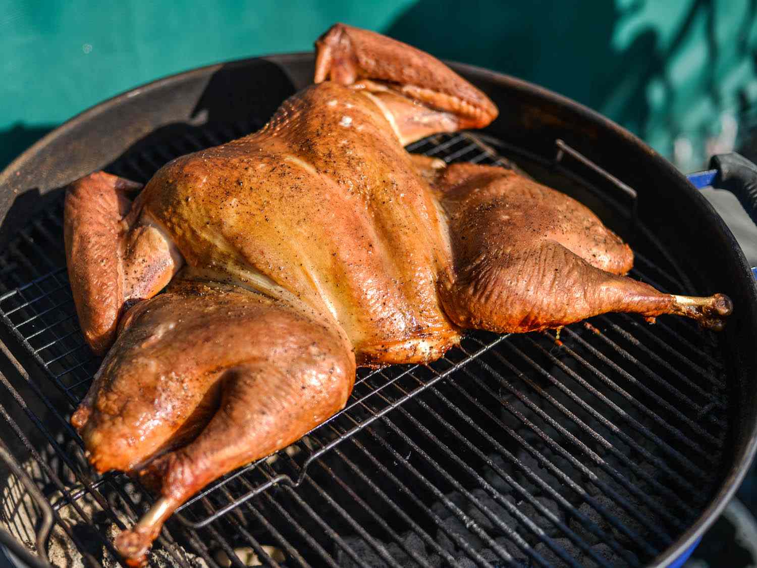 bbq-turkey-recipe